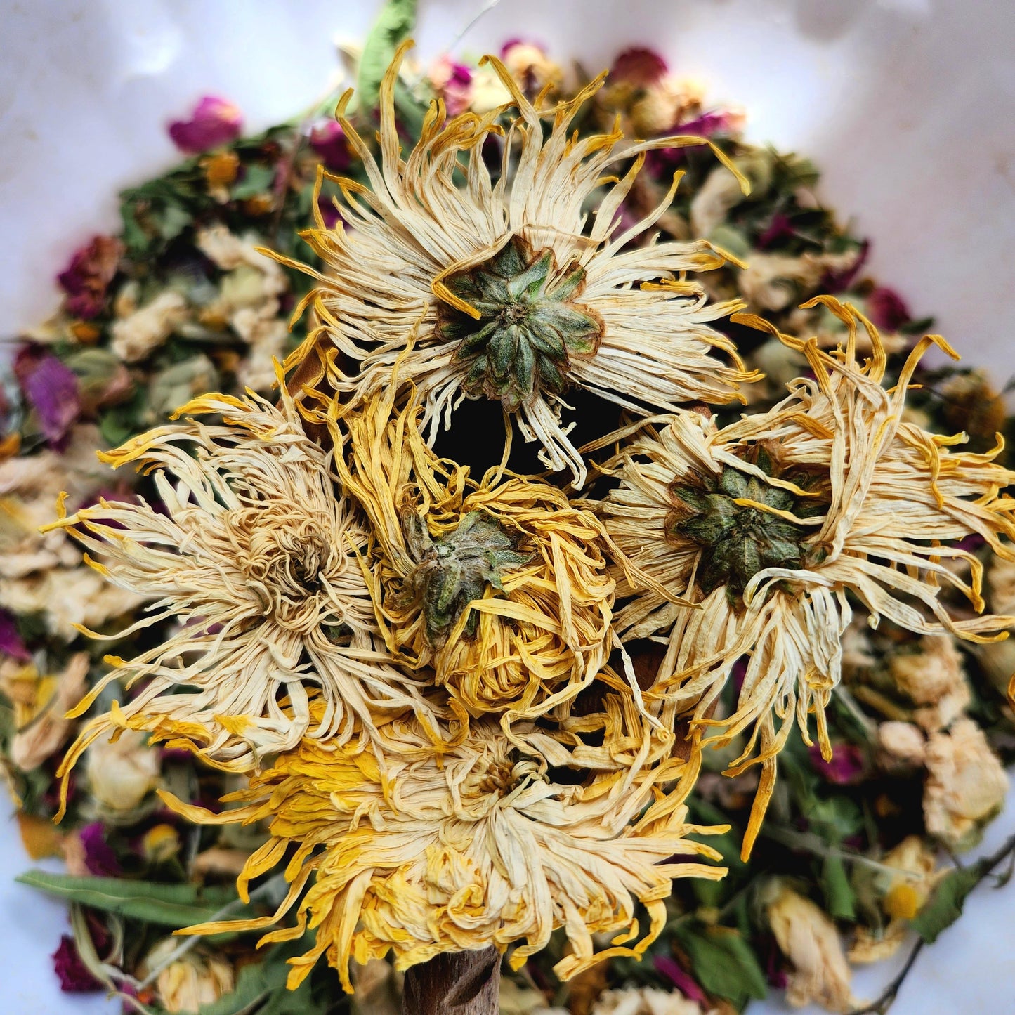 Chrysanthemum Tea